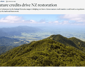 In the media: Nature Credits Drive NZ Restoration