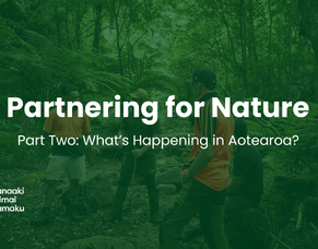 Partnering for Nature: What&#039;s happening in Aotearoa
