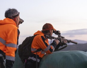 In the media: The Devastating Impact of Deer