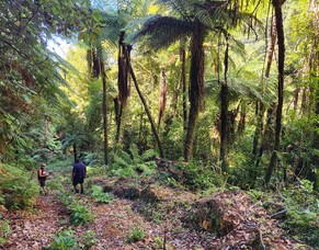 Pānui 6 | Pipiri, June 2025