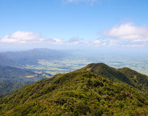 In the media: BoP businesses asked to foot the bill