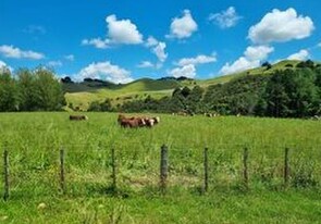 This year - Bulls standing in 2021/22 crop.