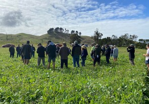 Last year - Farmers standing in 2021/22 crop.