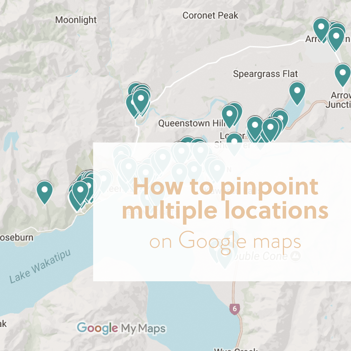 Google create a custom map with pins - signgawer