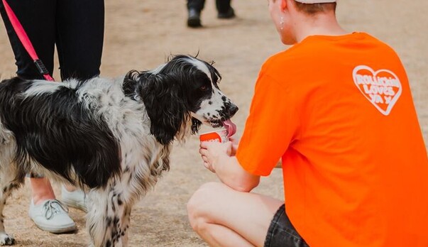 JUNE 28: Rollickin Dog Walk is BACK!