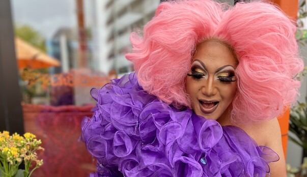 DOGGIE STYLE: Rollickin Pride Dog Walk