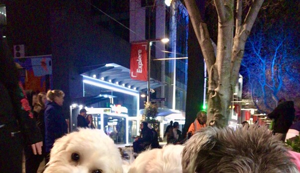 Hikoi Kuri = Dog Walk