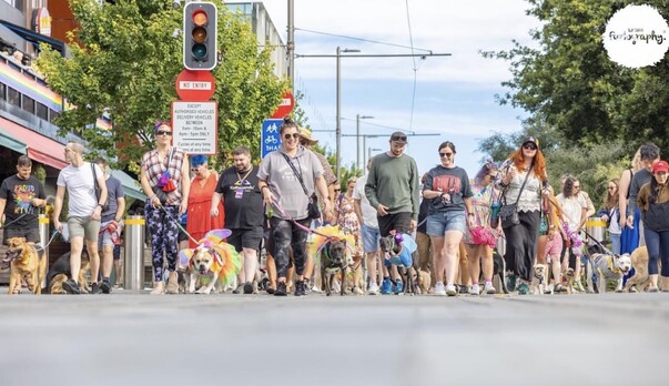 Thanks! Thanks! Thanks! for Rainbow walking.