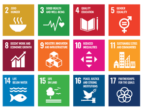 Make Your Organisation Stand Out with Integrated Sustainability Reporting