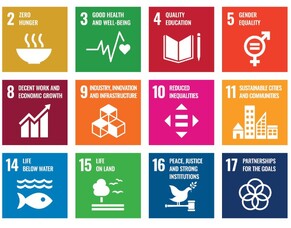 Global Sustainability and Your Organisation: Everything You Need to Know About the SDGs