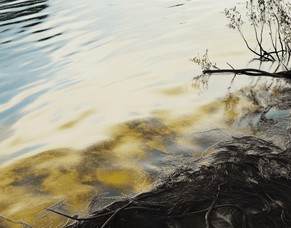 Rural eSpeaking - Autumn 2024