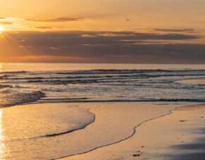 The Closing Chapter - Practical Guide to deal with Estates