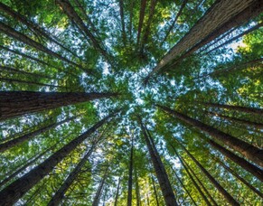 Rural eSpeaking - Autumn 2022