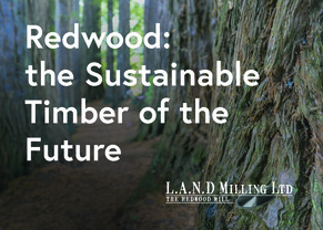 Redwood: the Sustainable Timber of the Future