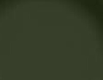 Olive (Resene Waiouru)