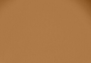 Resene Swiss Caramel