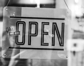 What does it take to be a successful startup?