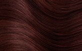 4R - Copper Chestnut