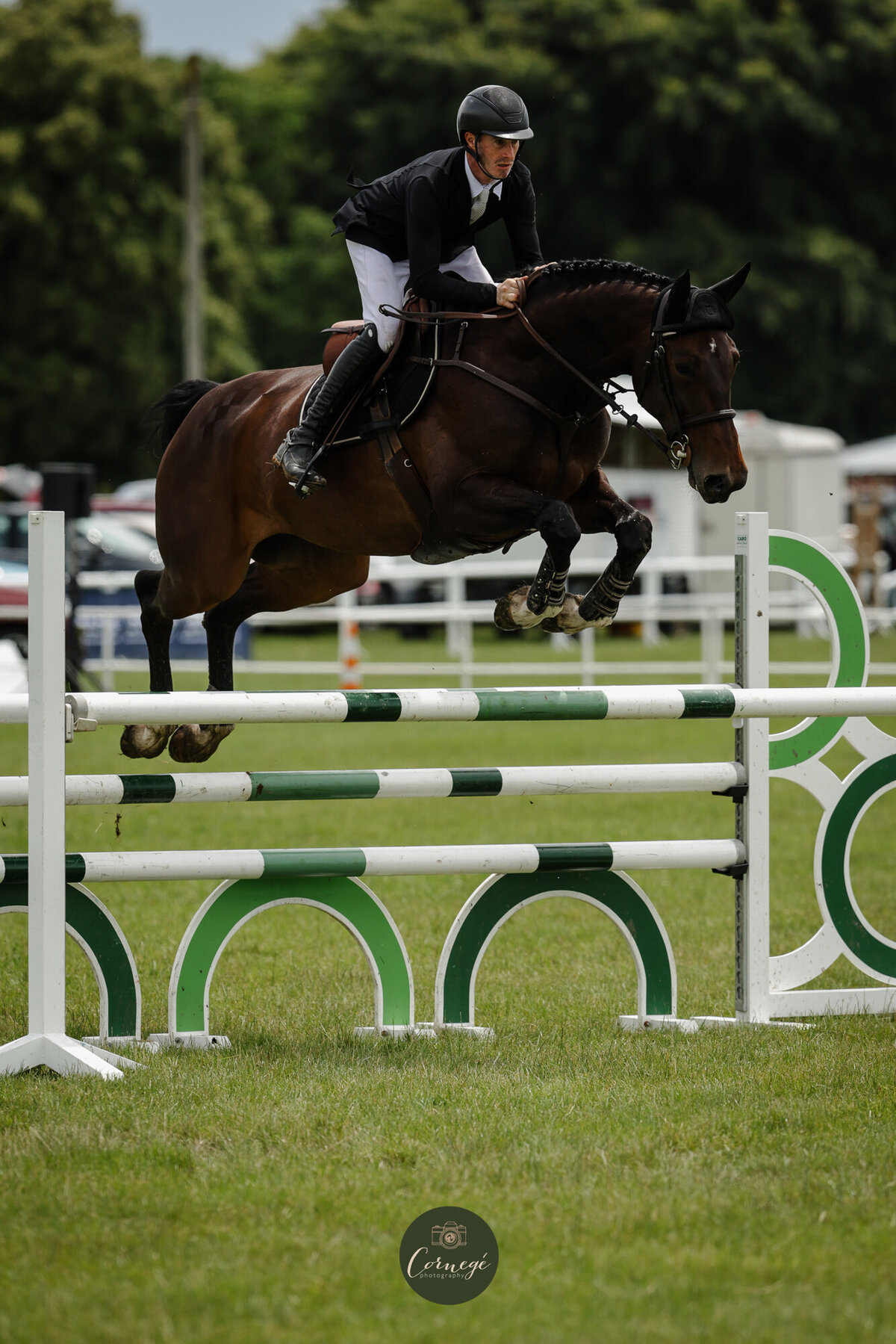 breaking in stable | Diamond Lodge show jumping