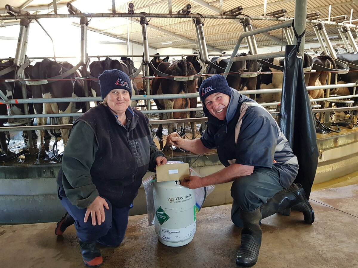 HMC | CLIENT NEWS - Dairy farmers strike gold across the country