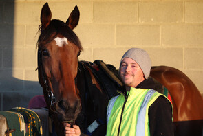 STABLE FOREMAN - SCOTTY!
