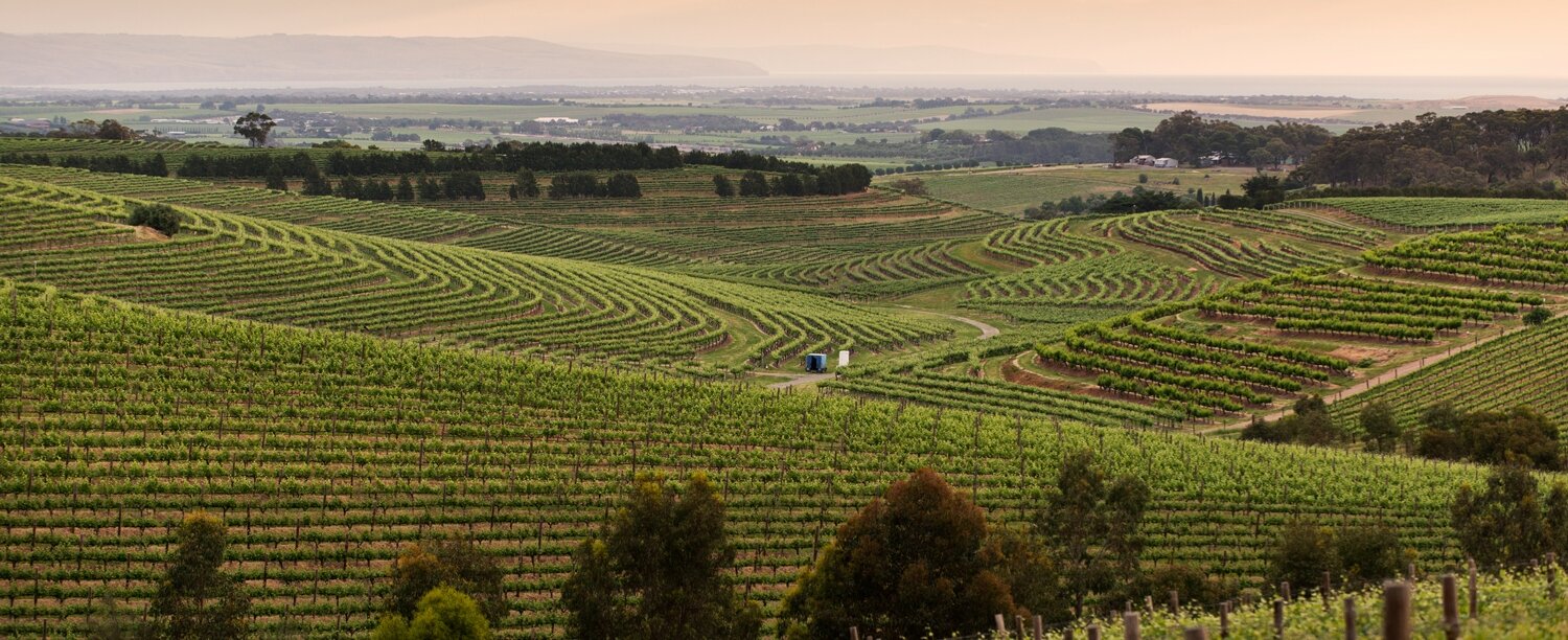 Chalk Hill Co Pilot Distributors