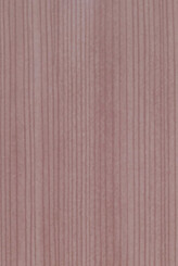 NATURAL KAURI - for interior use only