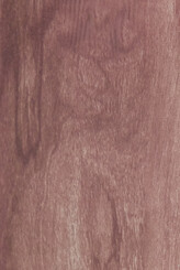 WHITE GUM - for interior use only