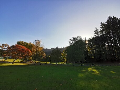 Camp Waikato Field